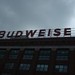 Budweiser Sign